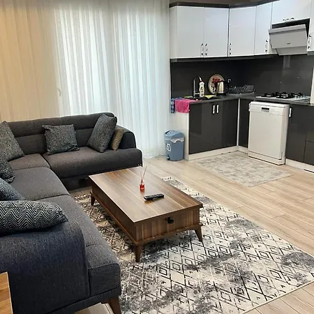 Dzenanas Homes Didim